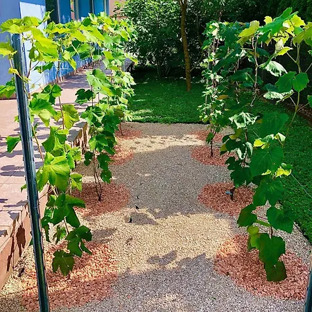 Apartamento Casa Galliera - *